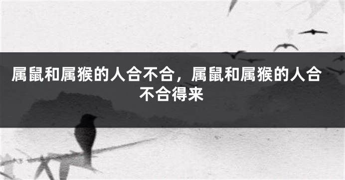 属鼠和属猴的人合不合，属鼠和属猴的人合不合得来
