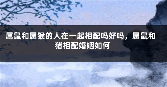 属鼠和属猴的人在一起相配吗好吗，属鼠和猪相配婚姻如何