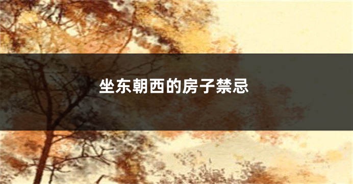 坐东朝西的房子禁忌