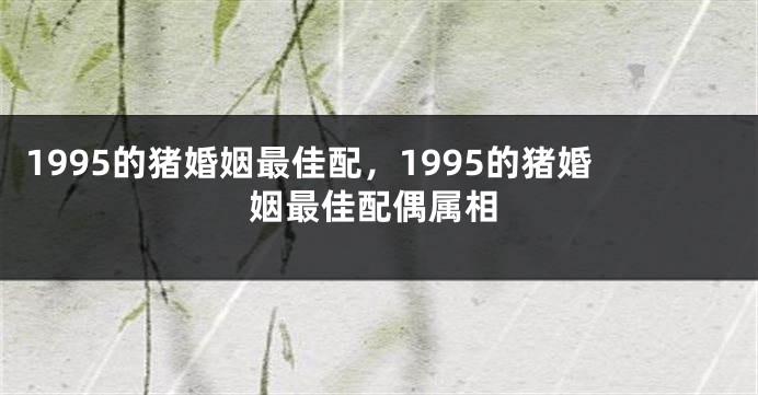 1995的猪婚姻最佳配，1995的猪婚姻最佳配偶属相