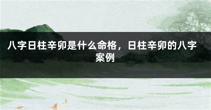 八字日柱辛卯是什么命格，日柱辛卯的八字案例