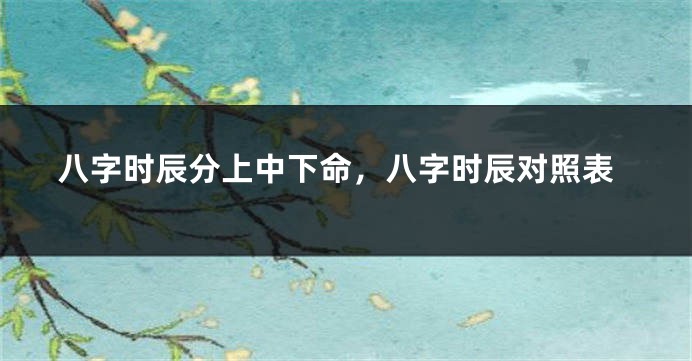 八字时辰分上中下命，八字时辰对照表
