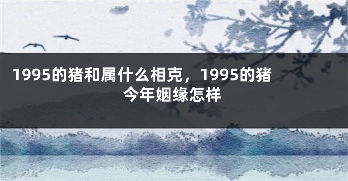 1995的猪和属什么相克，1995的猪今年姻缘怎样