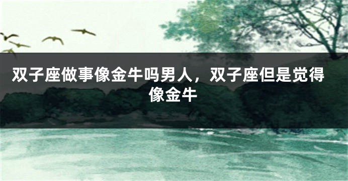 双子座做事像金牛吗男人，双子座但是觉得像金牛