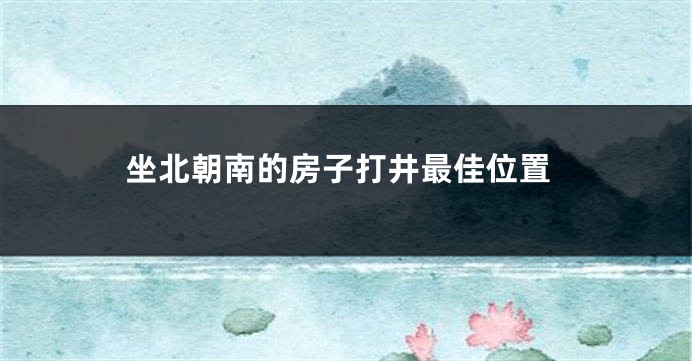 坐北朝南的房子打井最佳位置