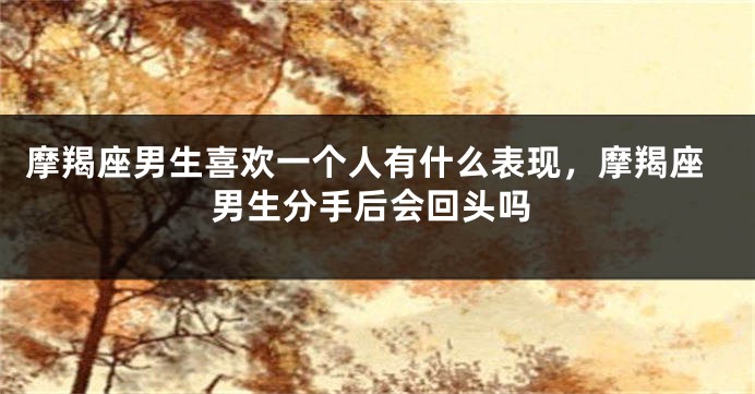摩羯座男生喜欢一个人有什么表现，摩羯座男生分手后会回头吗