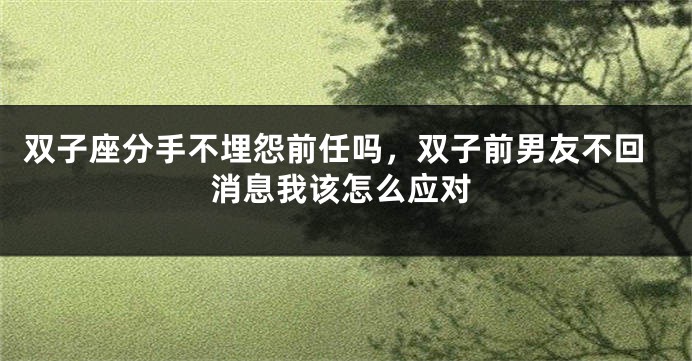 双子座分手不埋怨前任吗，双子前男友不回消息我该怎么应对