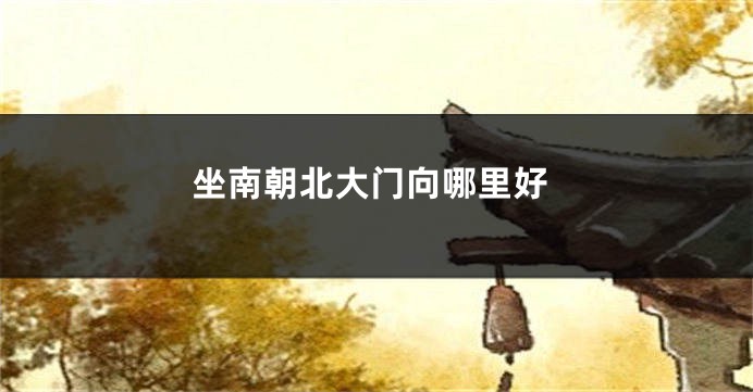 坐南朝北大门向哪里好