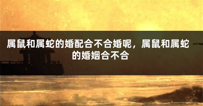 属鼠和属蛇的婚配合不合婚呢，属鼠和属蛇的婚姻合不合