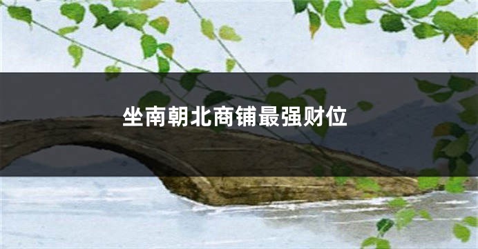 坐南朝北商铺最强财位