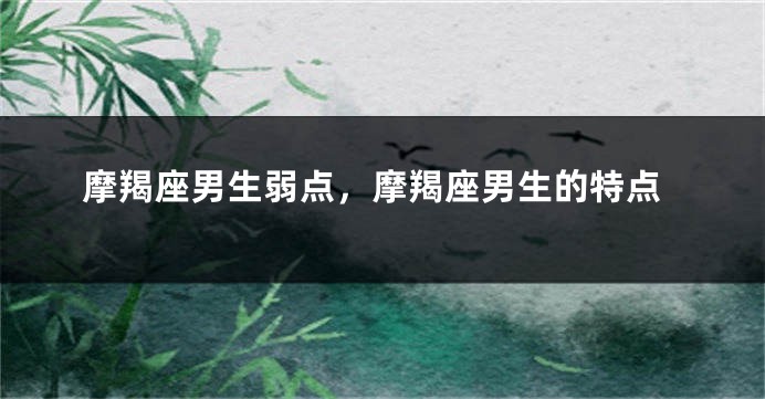 摩羯座男生弱点,摩羯座男生的特点