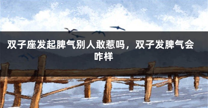 双子座发起脾气别人敢惹吗，双子发脾气会咋样