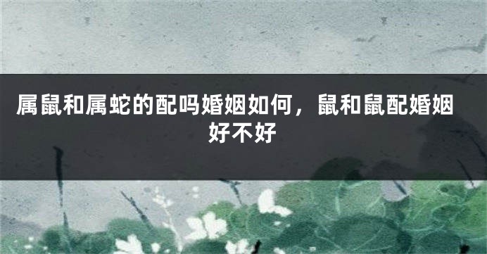 属鼠和属蛇的配吗婚姻如何，鼠和鼠配婚姻好不好