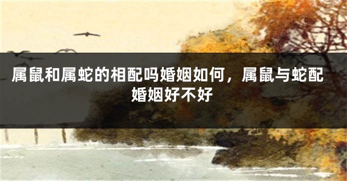 属鼠和属蛇的相配吗婚姻如何，属鼠与蛇配婚姻好不好