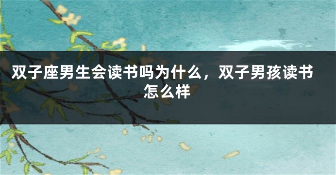 双子座男生会读书吗为什么，双子男孩读书怎么样