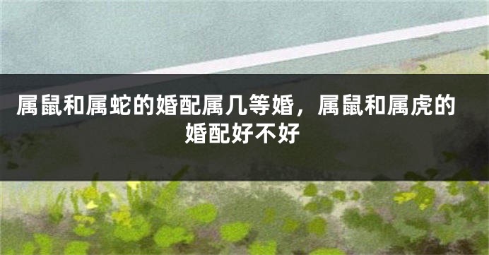 属鼠和属蛇的婚配属几等婚，属鼠和属虎的婚配好不好