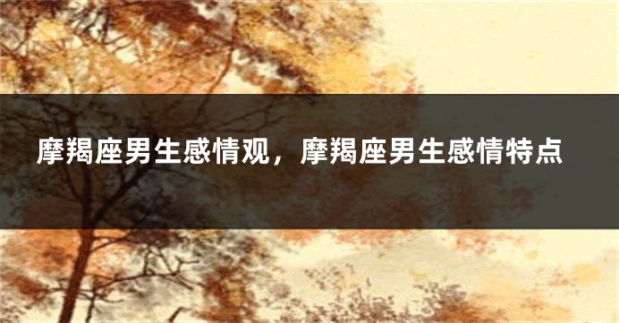 摩羯座男生感情观，摩羯座男生感情特点