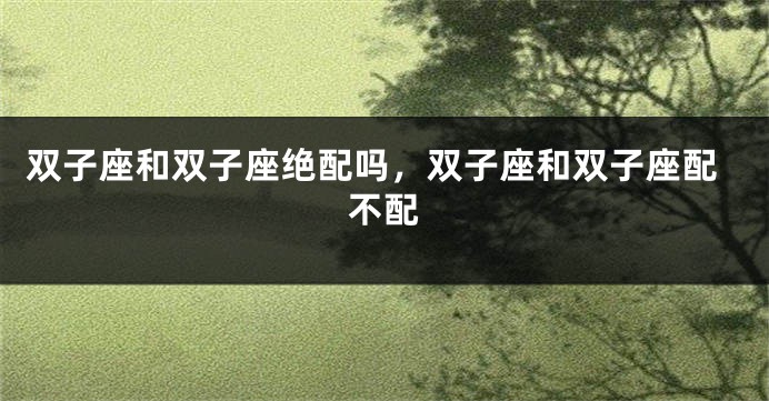 双子座和双子座绝配吗，双子座和双子座配不配