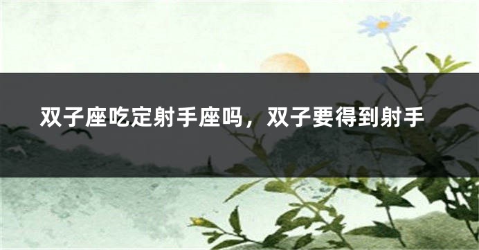 双子座吃定射手座吗，双子要得到射手