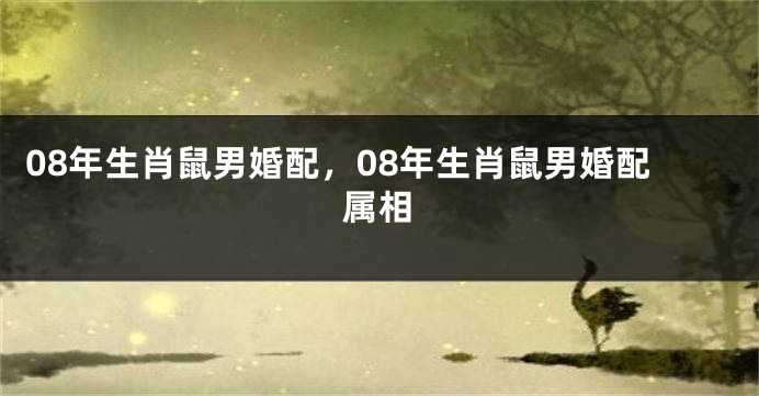 08年生肖鼠男婚配，08年生肖鼠男婚配属相