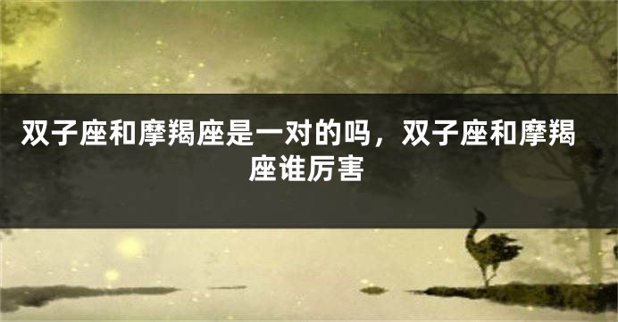 双子座和摩羯座是一对的吗，双子座和摩羯座谁厉害