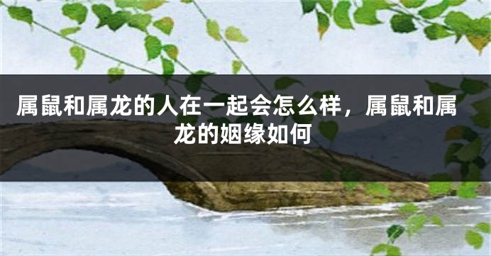 属鼠和属龙的人在一起会怎么样，属鼠和属龙的姻缘如何