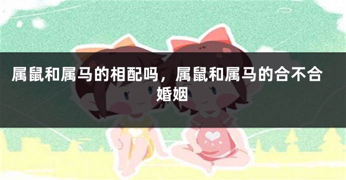 属鼠和属马的相配吗，属鼠和属马的合不合婚姻