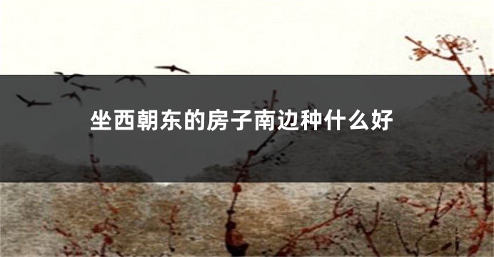 坐西朝东的房子南边种什么好