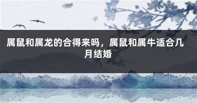 属鼠和属龙的合得来吗，属鼠和属牛适合几月结婚