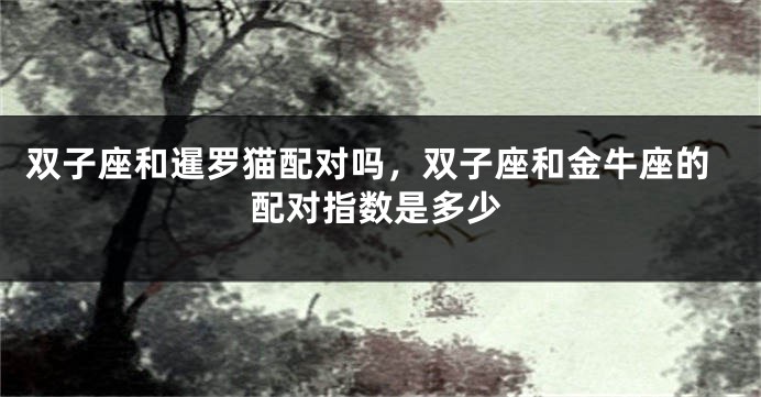 双子座和暹罗猫配对吗，双子座和金牛座的配对指数是多少