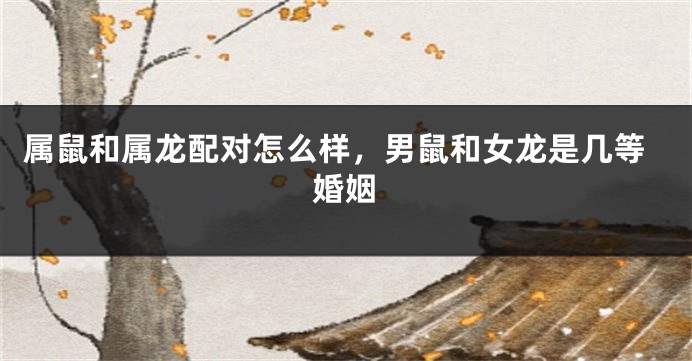 属鼠和属龙配对怎么样，男鼠和女龙是几等婚姻