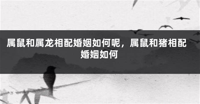 属鼠和属龙相配婚姻如何呢，属鼠和猪相配婚姻如何