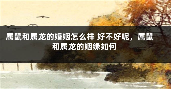属鼠和属龙的婚姻怎么样 好不好呢，属鼠和属龙的姻缘如何