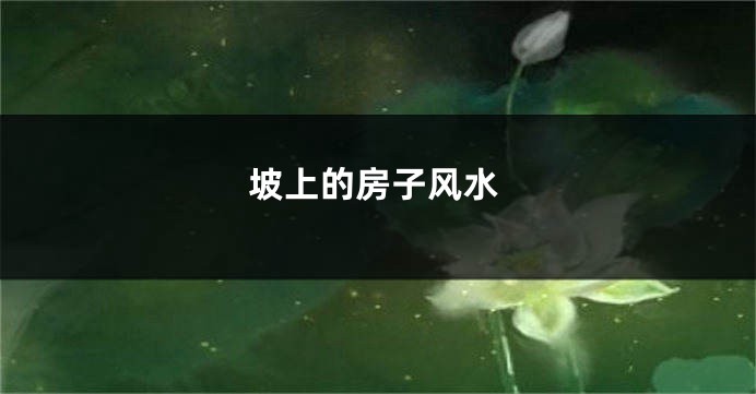 坡上的房子风水