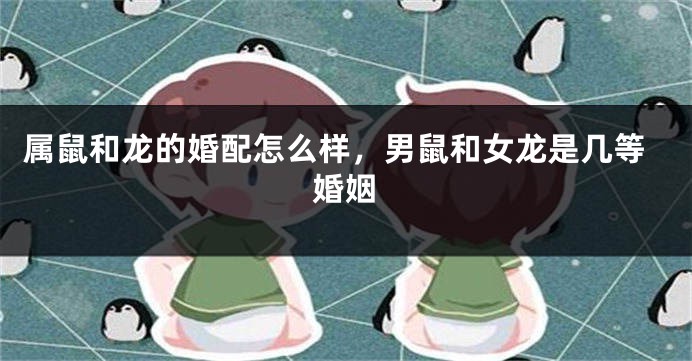 属鼠和龙的婚配怎么样，男鼠和女龙是几等婚姻