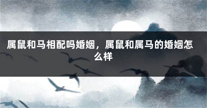 属鼠和马相配吗婚姻，属鼠和属马的婚姻怎么样