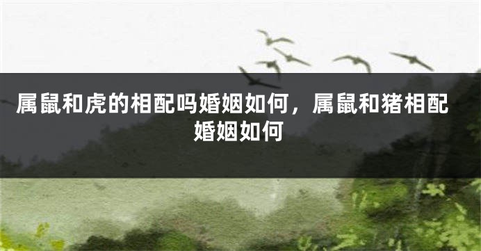 属鼠和虎的相配吗婚姻如何，属鼠和猪相配婚姻如何