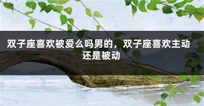 双子座喜欢被爱么吗男的，双子座喜欢主动还是被动