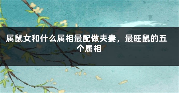属鼠女和什么属相最配做夫妻，最旺鼠的五个属相