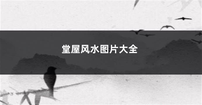 堂屋风水图片大全