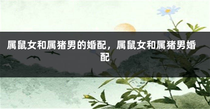 属鼠女和属猪男的婚配，属鼠女和属猪男婚配