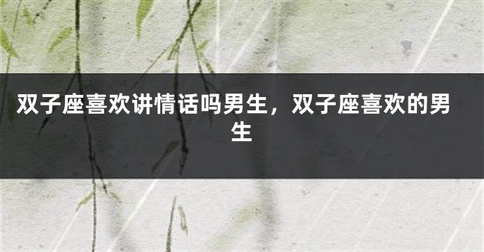 双子座喜欢讲情话吗男生，双子座喜欢的男生