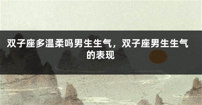 双子座多温柔吗男生生气，双子座男生生气的表现
