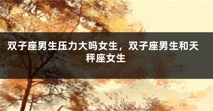 双子座男生压力大吗女生，双子座男生和天秤座女生