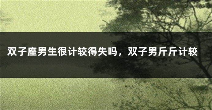双子座男生很计较得失吗，双子男斤斤计较