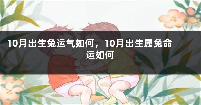 10月出生兔运气如何，10月出生属兔命运如何