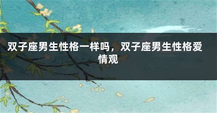 双子座男生性格一样吗,双子座男生性格爱情观