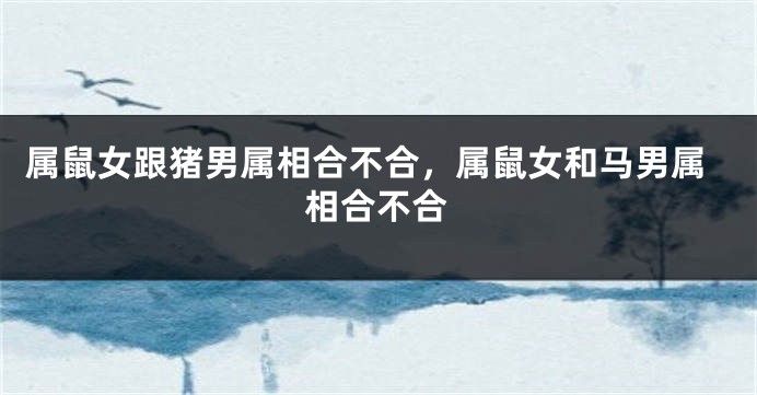 属鼠女跟猪男属相合不合，属鼠女和马男属相合不合
