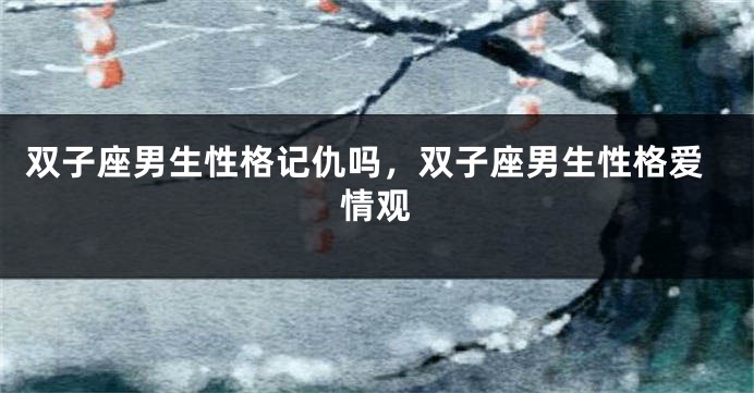 双子座男生性格记仇吗,双子座男生性格爱情观