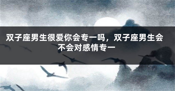 双子座男生很爱你会专一吗，双子座男生会不会对感情专一